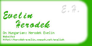 evelin herodek business card